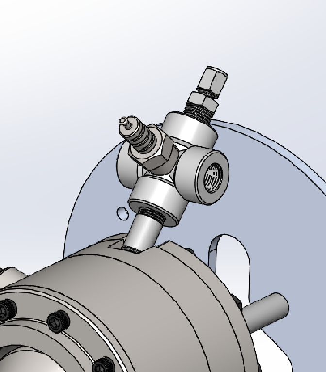Torch as mounted on combustor
